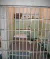 Alcatraz inside cell.jpg (77661 bytes)