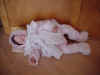 Sleeping Baby by Charlene Foster.jpg (32916 bytes)