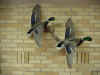 Stuffed Geese by Wicker Bill .jpg (46614 bytes)